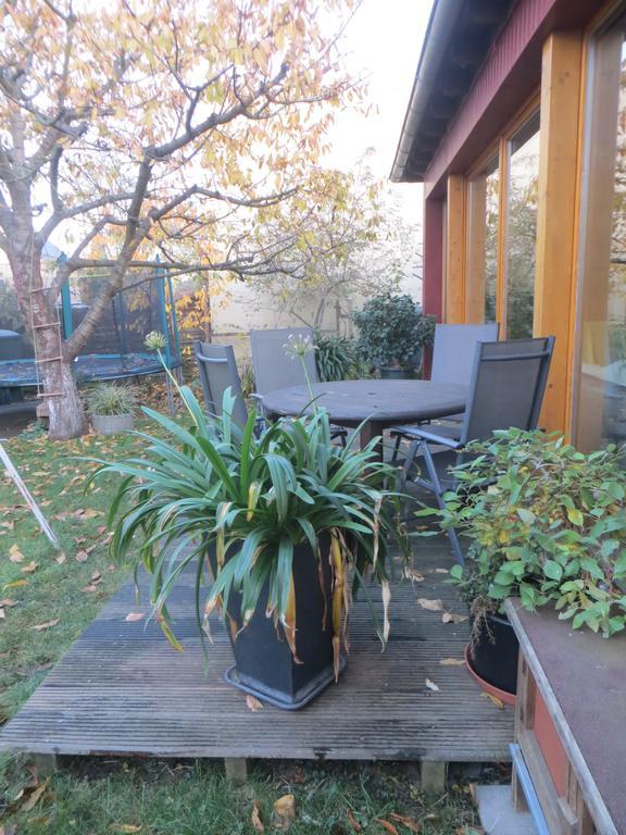 Gartenhaus Klotzsche Dresde Exterior foto