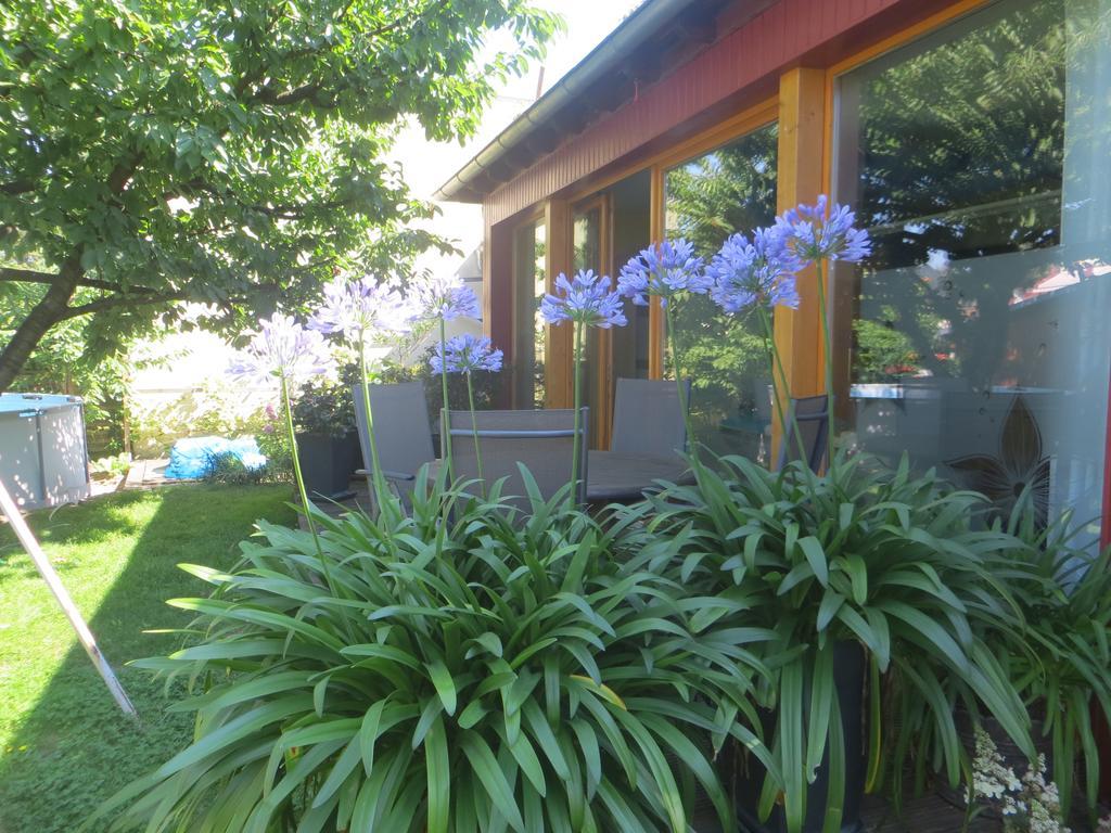 Gartenhaus Klotzsche Dresde Exterior foto
